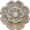 logo-header-desktop